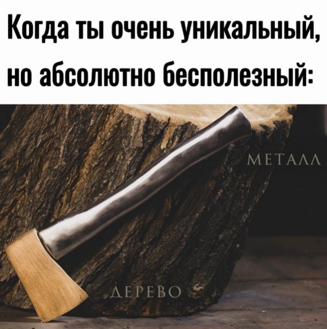 Весёлый полтишок 22.11.24