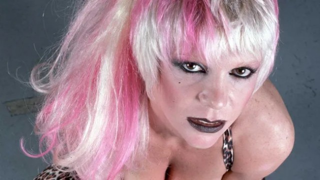 Музыка и музыканты: Wendy O. Williams и Plasmatics