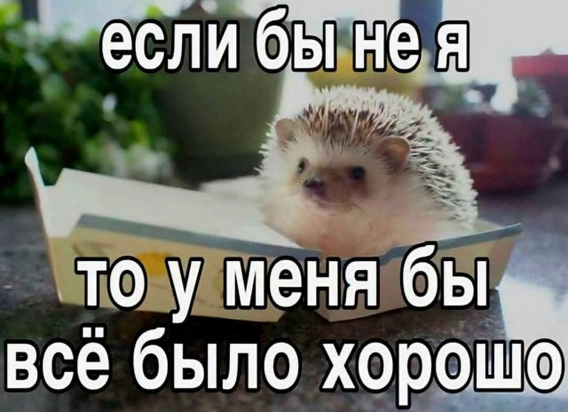 Картинки про юмор