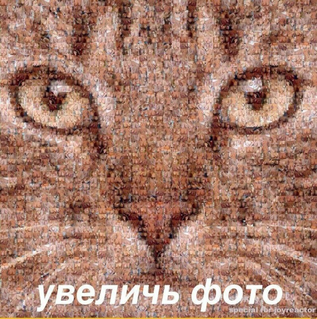 Фундамент интернета