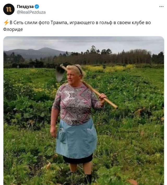 Синий Винстон