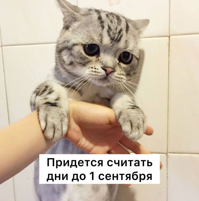 Ракам, Девам и Стрельцам категорически нельзя пить до конца лета, — заявили настоящие астрологи - наркологи