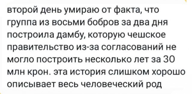 Это Феррари?
