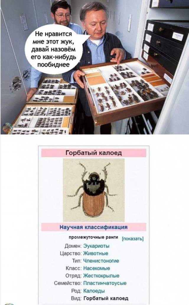 Веселые картинки в пятницу (05.12)