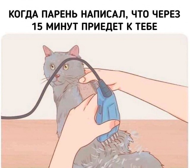 Картинки для деградации 115 (разной степени свежести)
