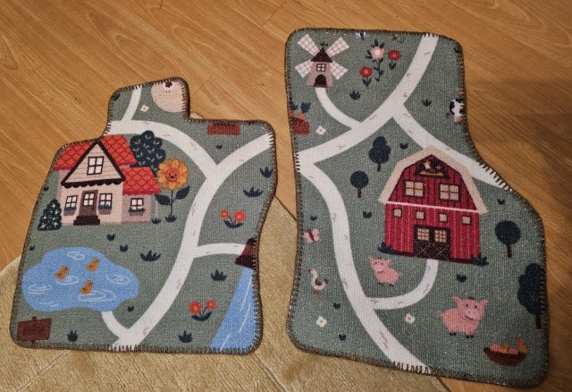 А не сшить ли мне новые коврики в машину?