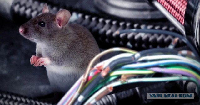 Машина сгорела