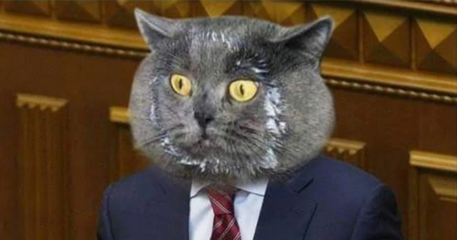 В Госдуме выступили против конфискации имущества у коррупционеров