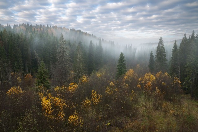 Осень в тайге