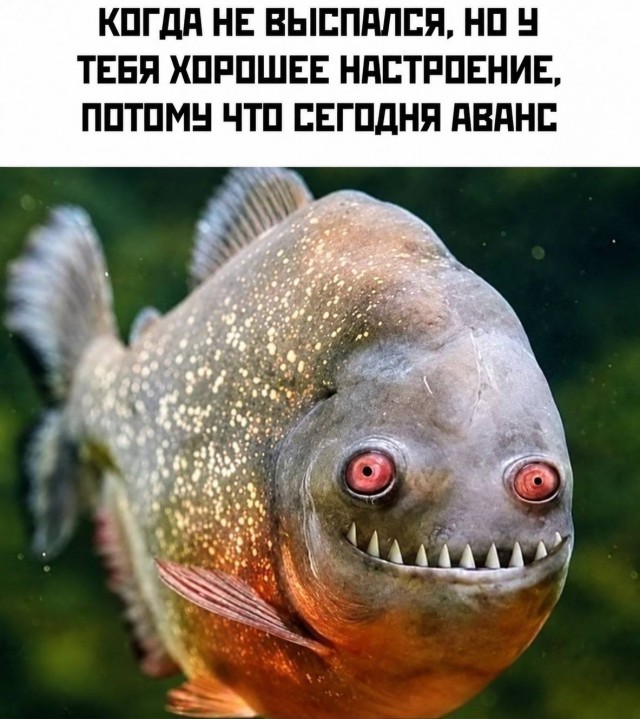 Картинки для деградации 280 (разной степени свежести)