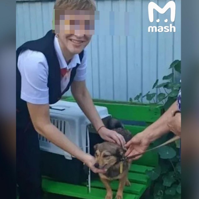 Собака в одиночку проехала 105 километров на трех видах транспорта, чтобы увидеть хозяйку