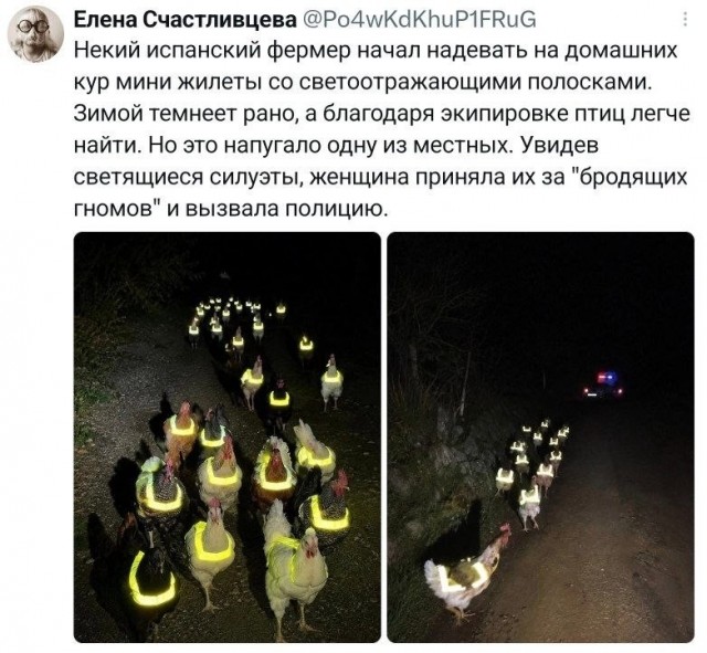 Картинки из Хвиттера v.2