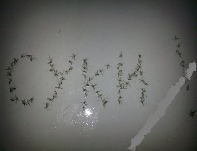 Подборка прикольных фото.