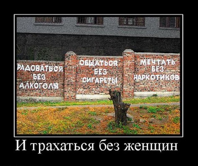 С миру по нитке. Демотиваторов чуть