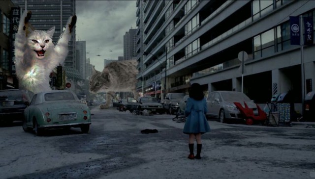 Кот - тусовщик