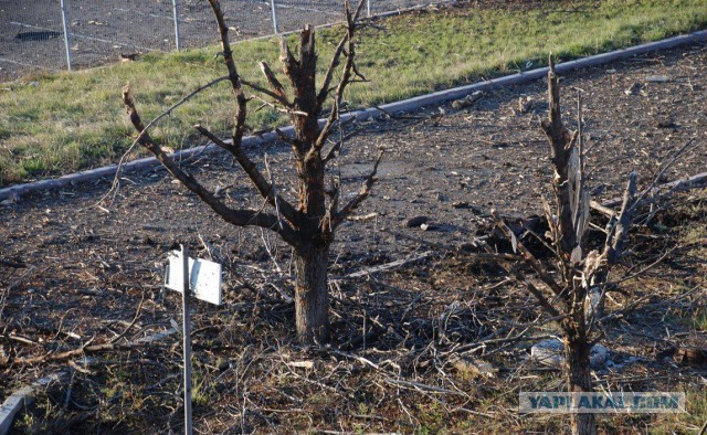 Зачистка аэропорта от войск украинских ВС