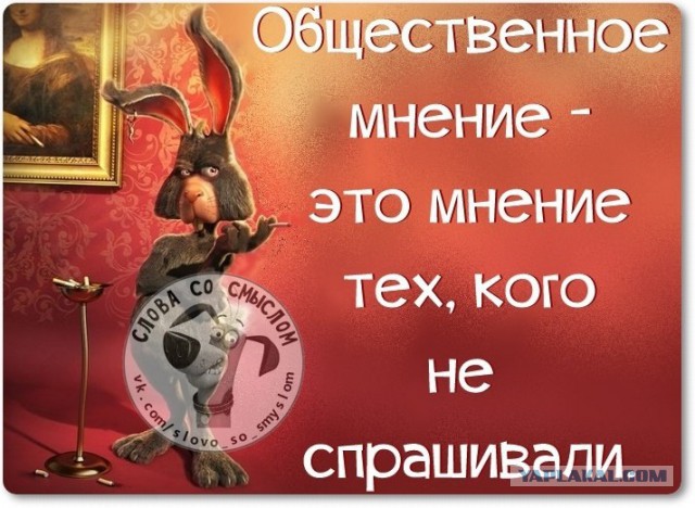 Веселые жизненные наблюдения из Вредного журнала
