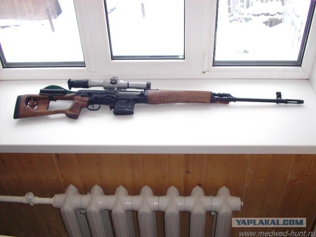 Что делать, если на вас напал медведь