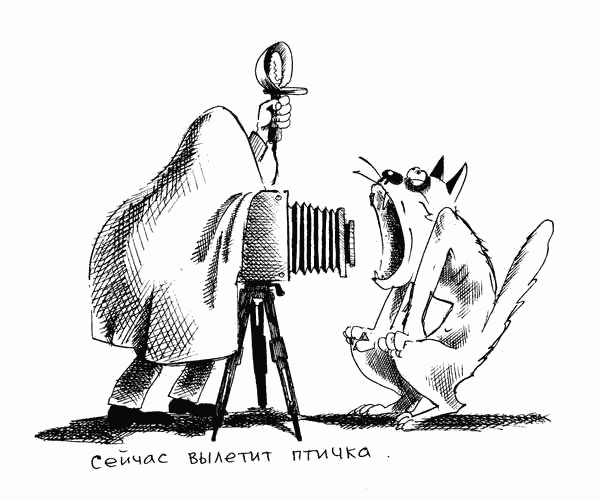 КАРИКАТУРЫ. Прикольные карикатуры