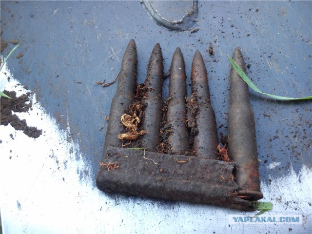 Путешествие/поиски в районе Туринской Слободы