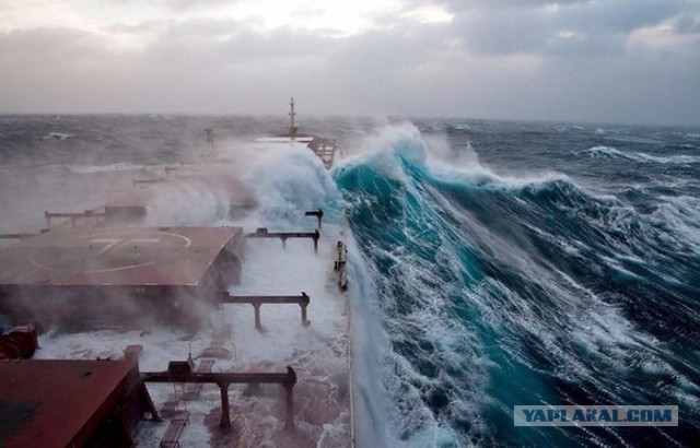 Забавные и интересные фотографии, сделанные в нужный момент