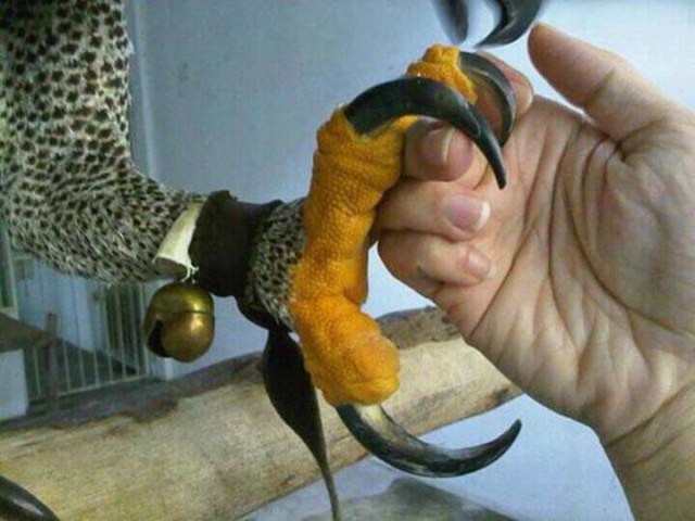 Картинки разные