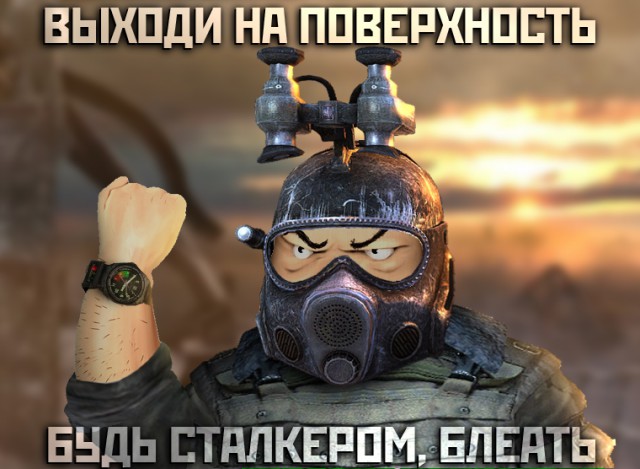 Фанатам игры С.Т.А.Л.К.Е.Р посвящается