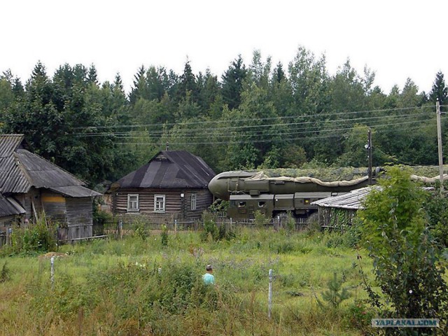 Эти люди сделали покупки в интернете в пьяном виде и ни о чём не жалеют