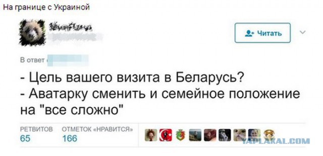 Немного деграданса - 5