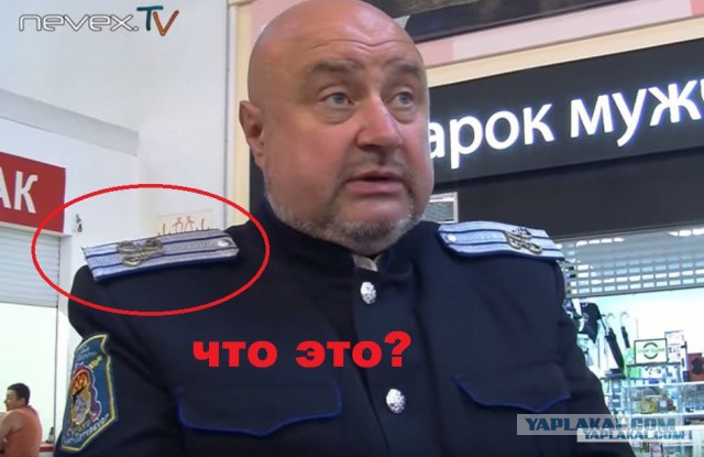 Что вы знаете о понтах?