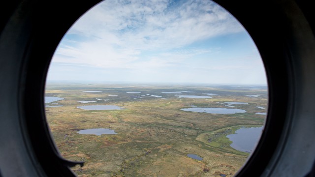 Просто Природа