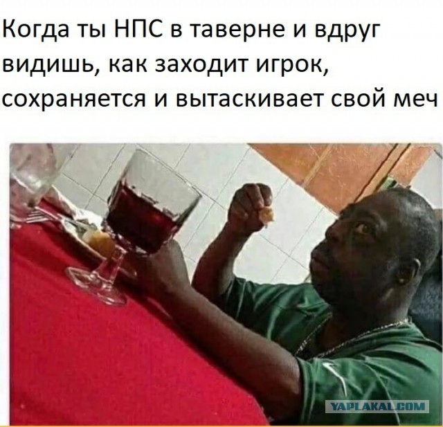 Бросай работать, пошли деградировать!