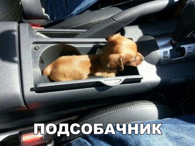 Нестандартный юмор