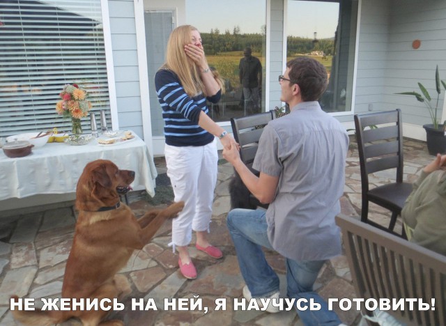 Нестандартный юмор