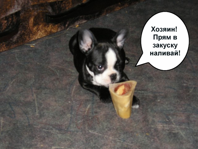 Про Мосю