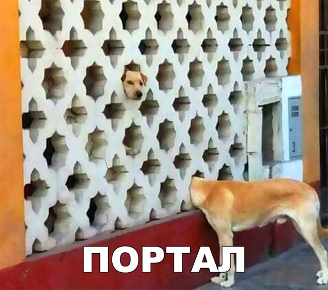 Прикольные картинки абавсём