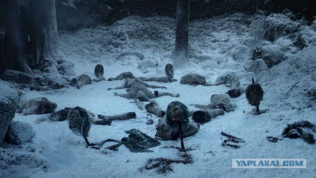 Последний сезон "Игры престолов". К чему готовиться