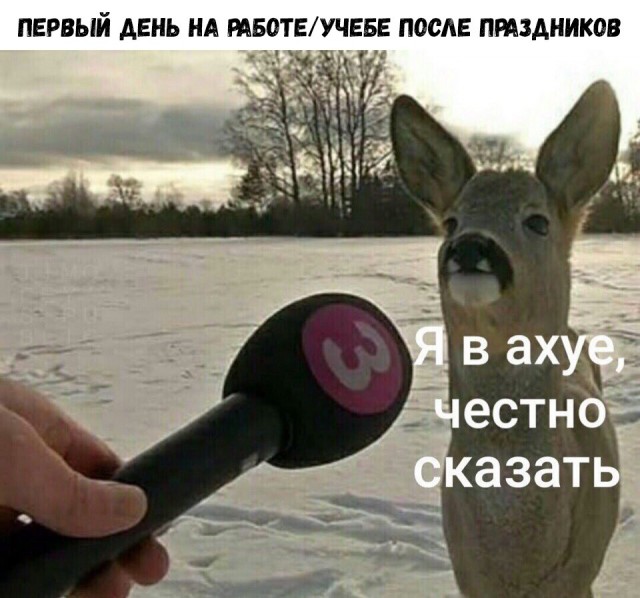 Прикольные картинки абавсём