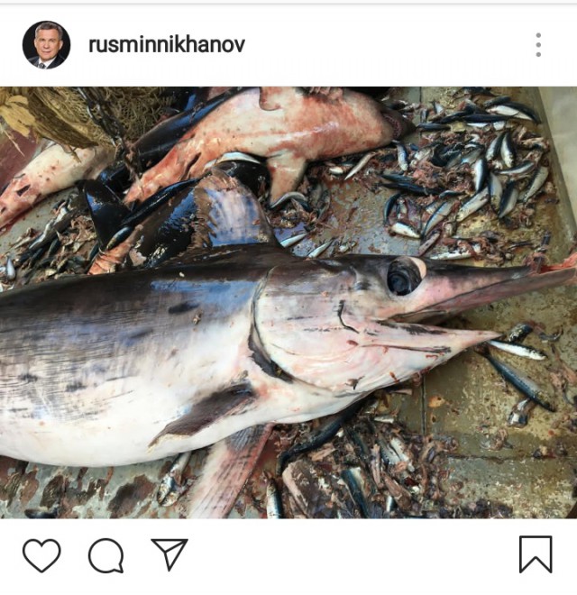 Краснодарскую журналистку судят за статью о браконьерской рыбалке Медведева в заповеднике