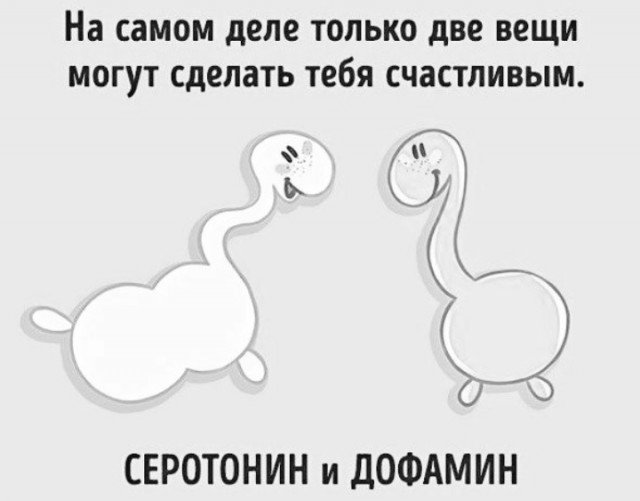 Не очень адекватный юмор