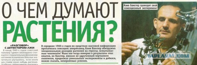 Немного о веганах. Смешно не будет