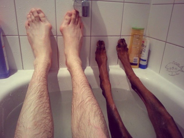 Немного картинок 05.07