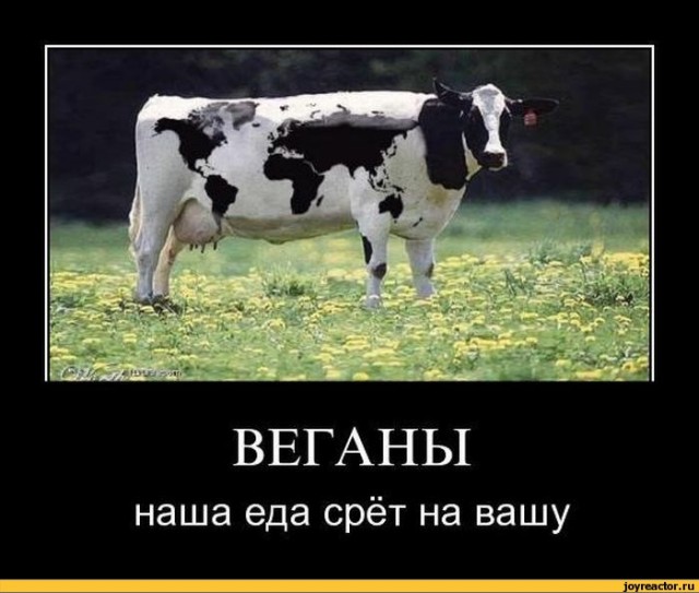 Мясо: польза или вред?