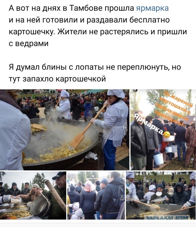 180 килограммов картошки с шампиньонами