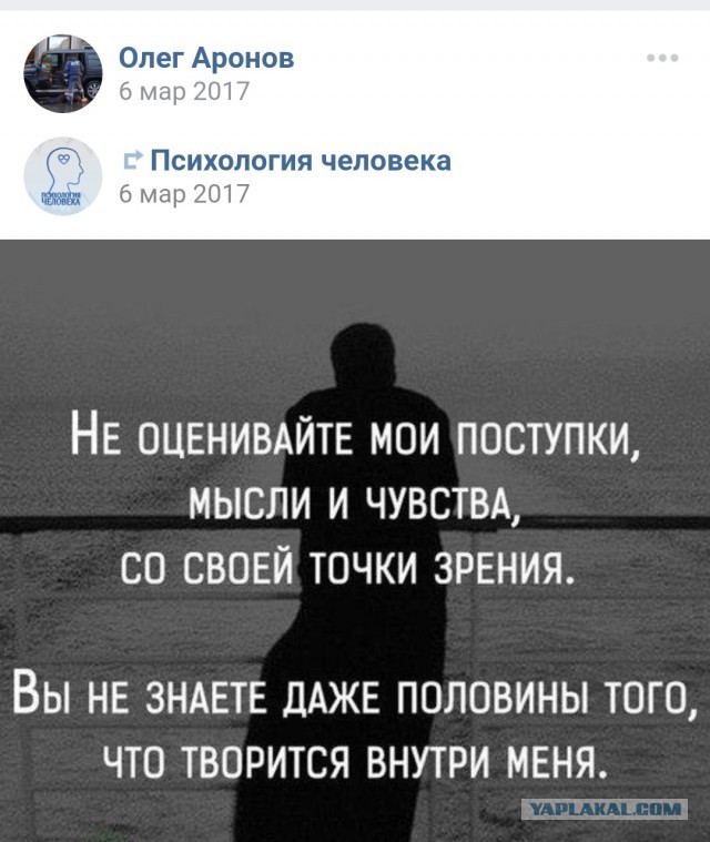 Скромная полиция Петербурга. Жительница Пушкина больше часа следила, чтобы пьяный гаишник не скрылся с «поля боя»
