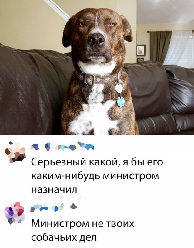 Картинок разных набралось