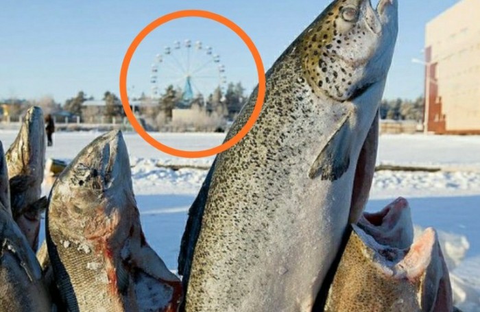 Иностранцы в шоке от жителей Якутии, где температура упала до -59, а люди жалуются, что зима мягкая