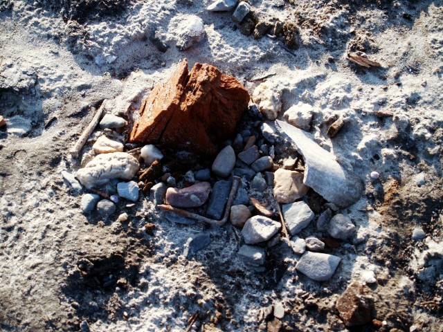 Прогулка по дну Обского водохранилища