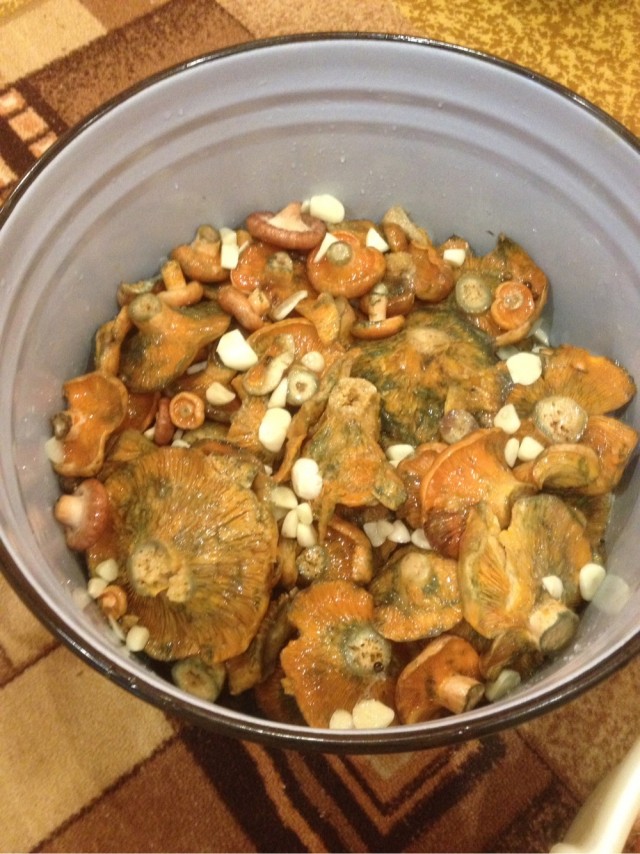 Рыжики соленые.