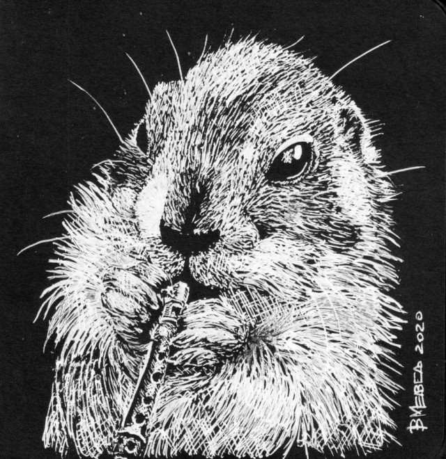 Белым по черному